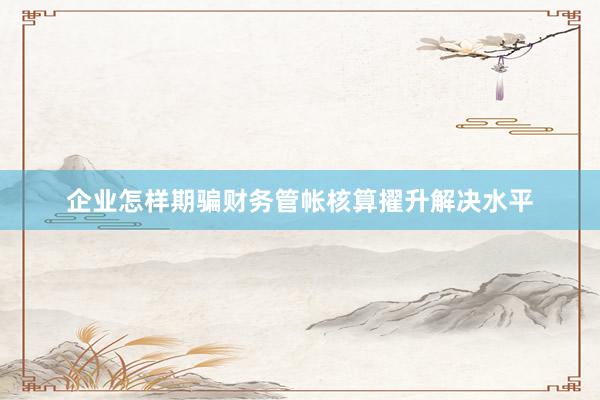 企业怎样期骗财务管帐核算擢升解决水平